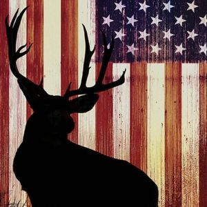 Meet your Posher, Dylan